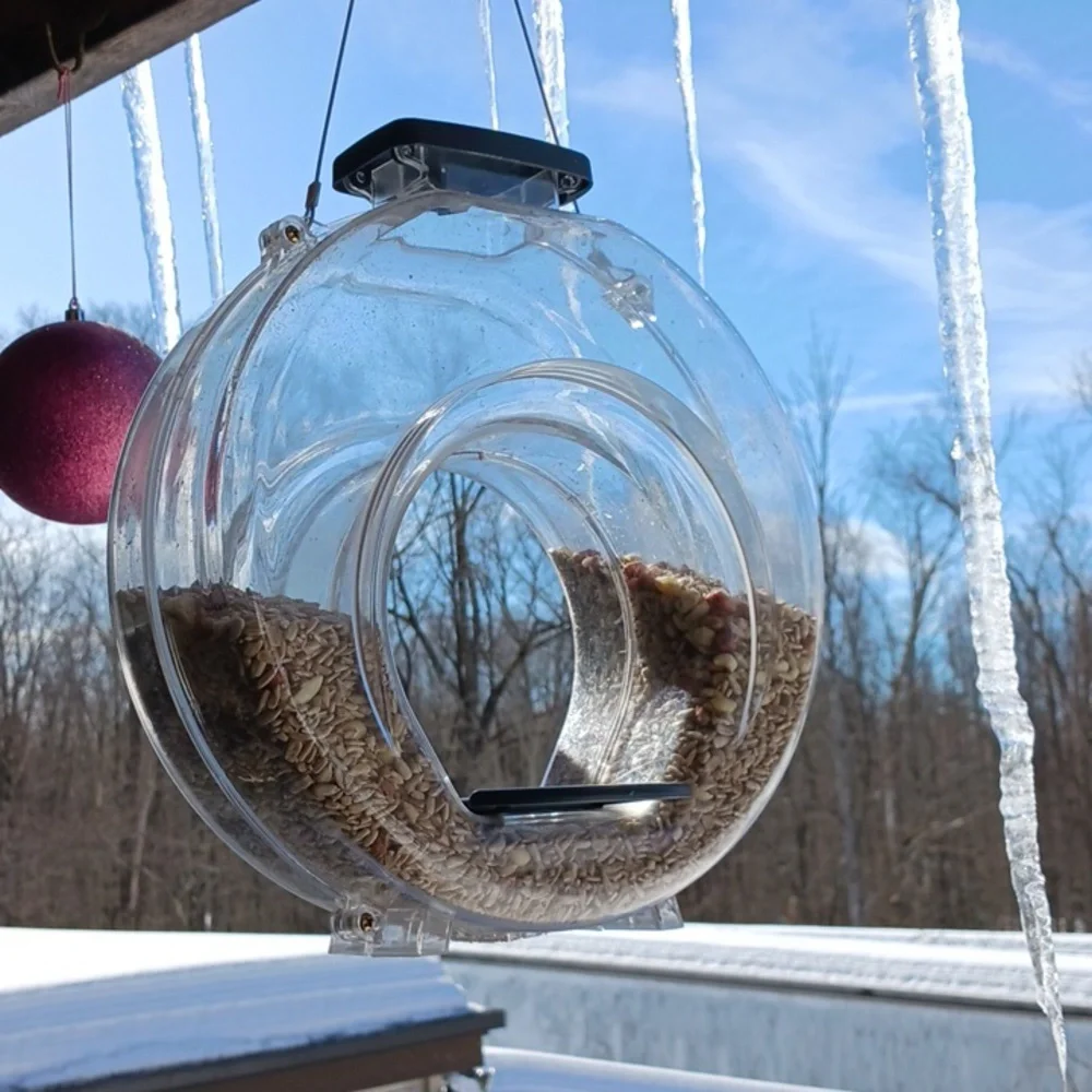 Transparent Hanging Bird Feeder